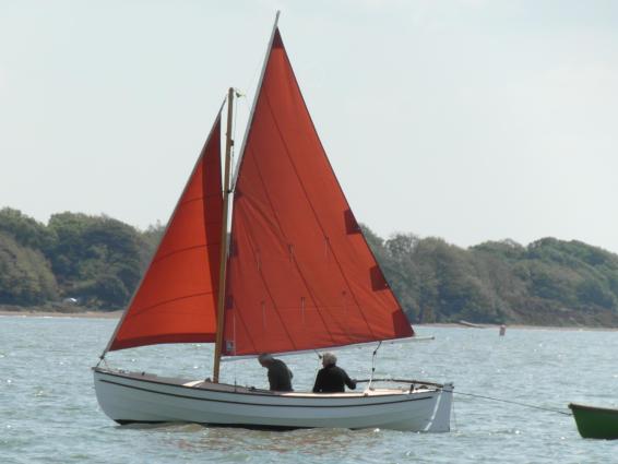 Campion sail plan with gunter lug